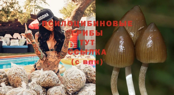 соль ск Корсаков