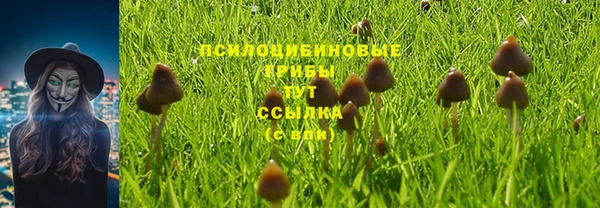 соль ск Корсаков