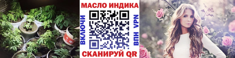 Купить где Багратионовск ТГК Wax